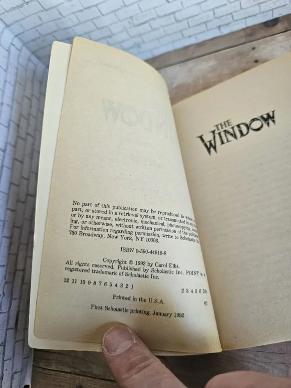 Carol Ellis The Window 1992 Point Horror Scholastic Vintage YA Paperback